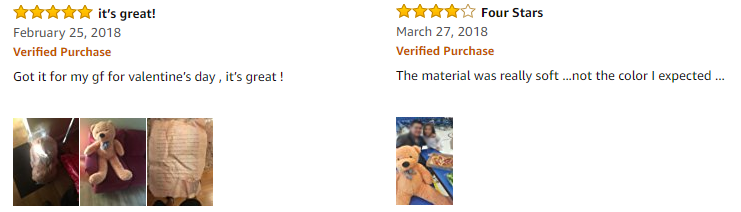 bear_review
